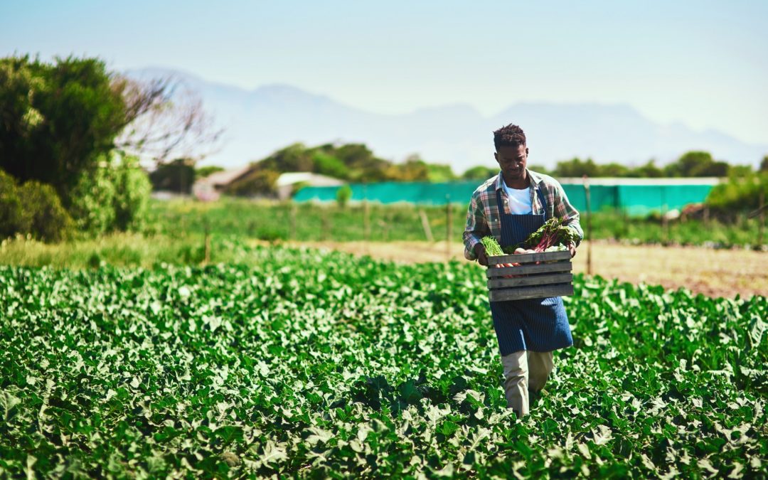 How to encourage farmers to adopt sustainable agriculture
